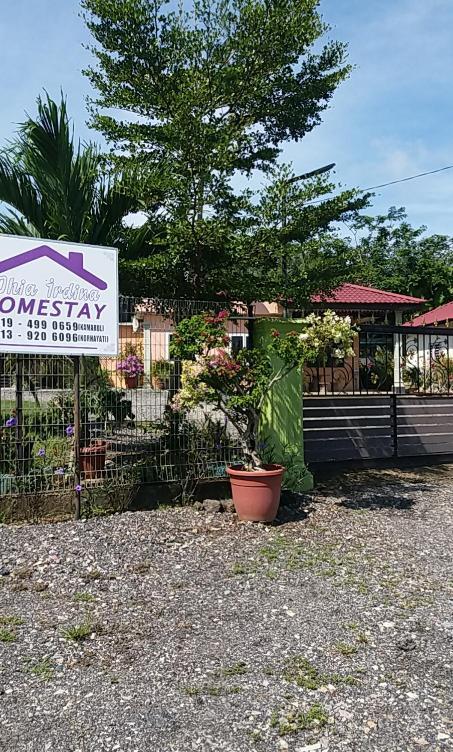 Dhia Irdina Homestay Paya Rewak Kültér fotó