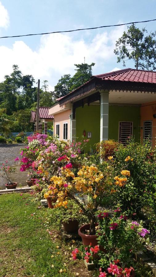 Dhia Irdina Homestay Paya Rewak Kültér fotó